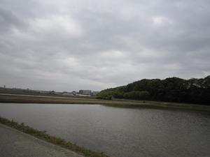 田んぼ